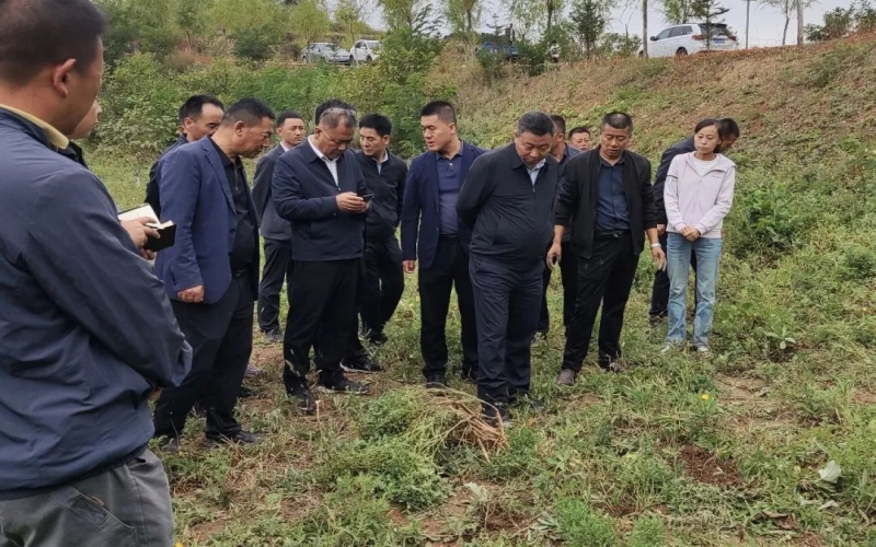天水市政協(xié)副主席、清水縣委書記馬越垠到“榮程百草莊園”中藥材試驗基地調研中草藥產業(yè)發(fā)展工作