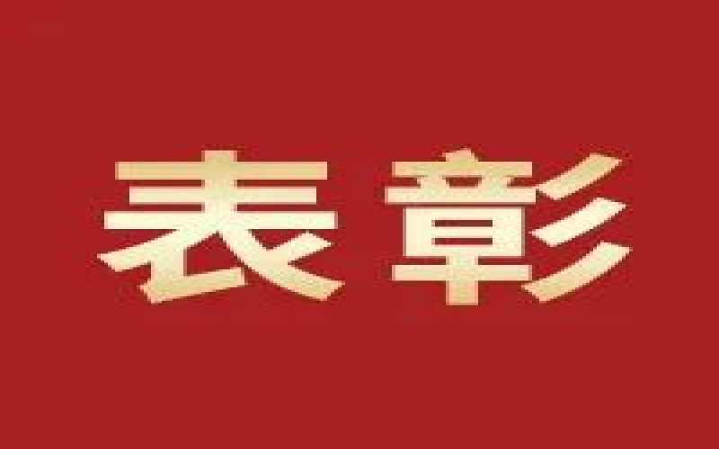 奮進2023，這些集體和個人無上“榮”光