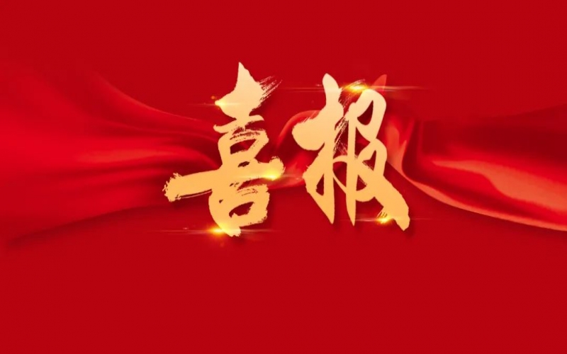 達到國際領先水平！榮程鋼鐵集團一項科技成果通過鑒定