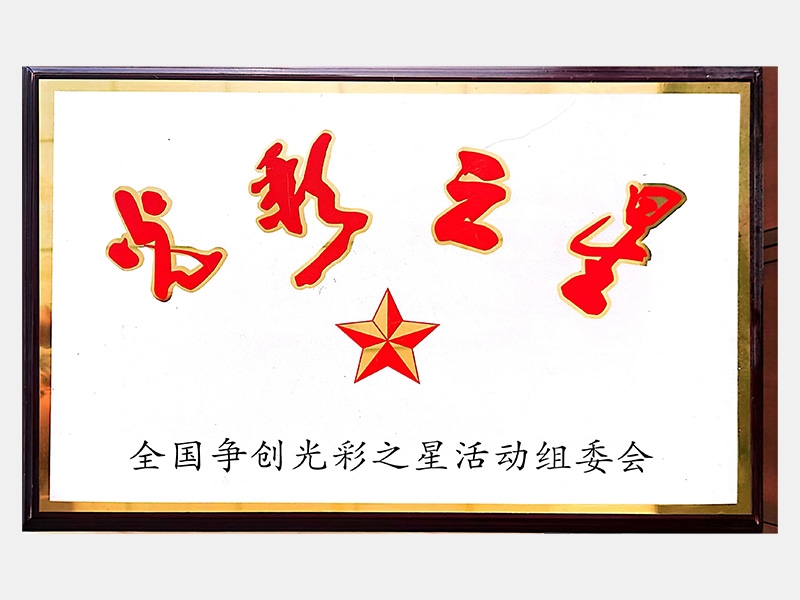 中國(guó)企業(yè)500強(qiáng)第256名