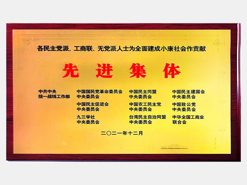 各民主黨派、工商聯(lián)、無黨派人士為全面建成小康社會(huì)作貢獻(xiàn)先進(jìn)集體